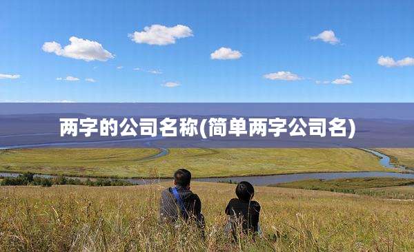 两字的公司名称(简单两字公司名)