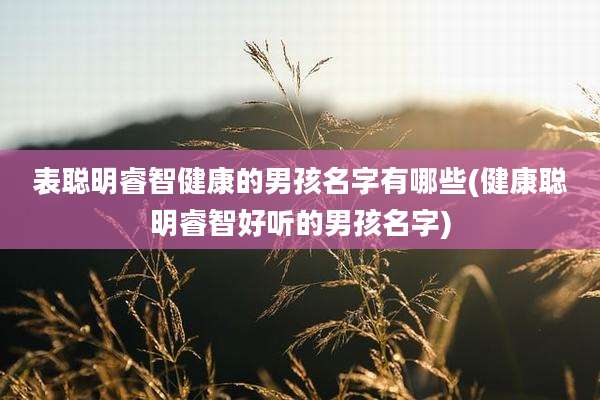 表聪明睿智健康的男孩名字有哪些(健康聪明睿智好听的男孩名字)