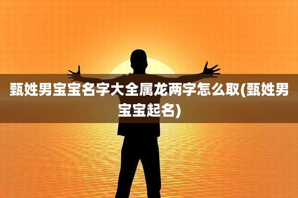 甄姓男宝宝名字大全属龙两字怎么取(甄姓男宝宝起名)