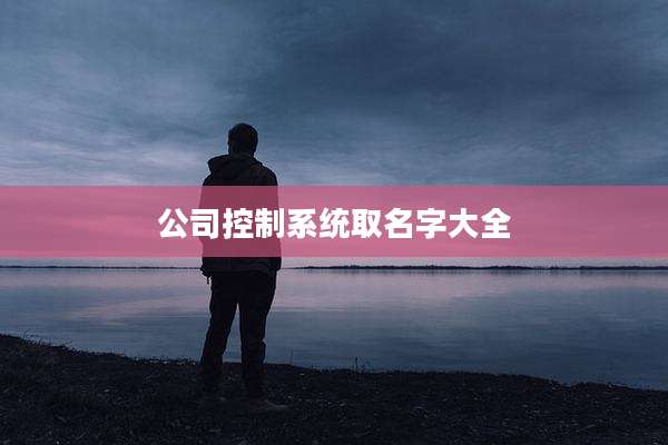 公司控制系统取名字大全