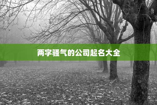两字骚气的公司起名大全