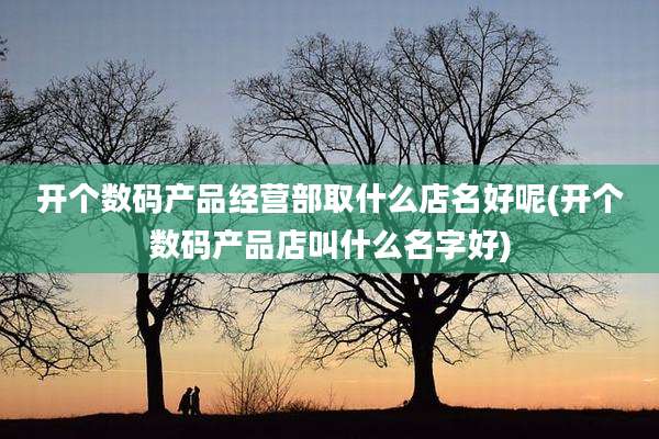 开个数码产品经营部取什么店名好呢(开个数码产品店叫什么名字好)