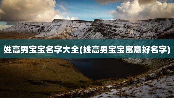 姓高男宝宝名字大全(姓高男宝宝寓意好名字)