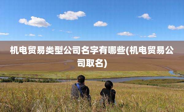 机电贸易类型公司名字有哪些(机电贸易公司取名)