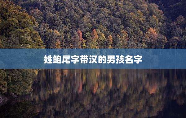 姓鲍尾字带汉的男孩名字