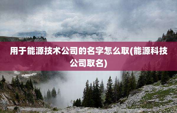 用于能源技术公司的名字怎么取(能源科技公司取名)
