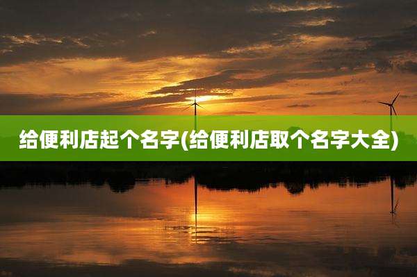给便利店起个名字(给便利店取个名字大全)