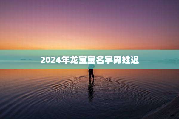 2024年龙宝宝名字男姓迟