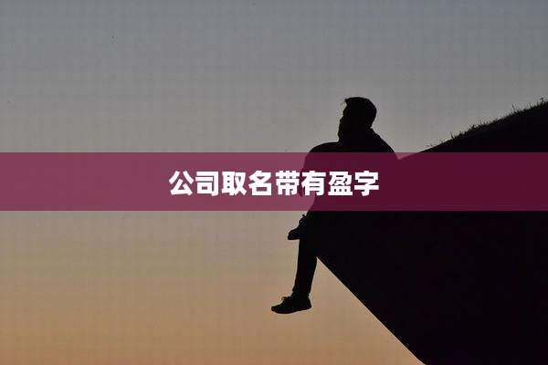 公司取名带有盈字