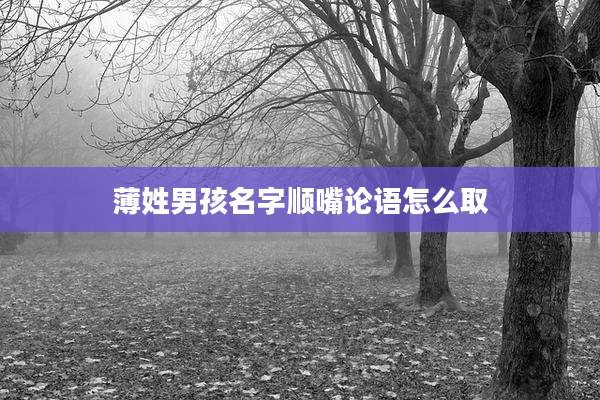 薄姓男孩名字顺嘴论语怎么取