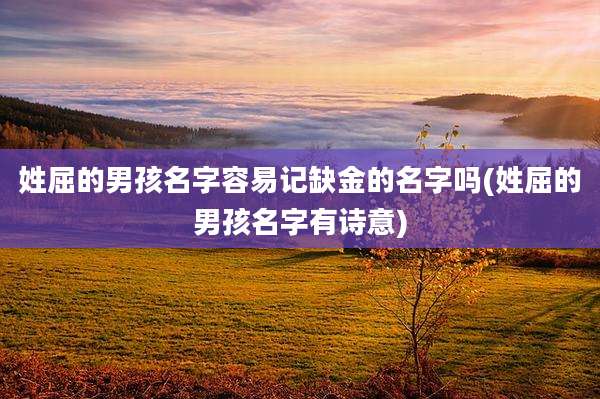 姓屈的男孩名字容易记缺金的名字吗(姓屈的男孩名字有诗意)