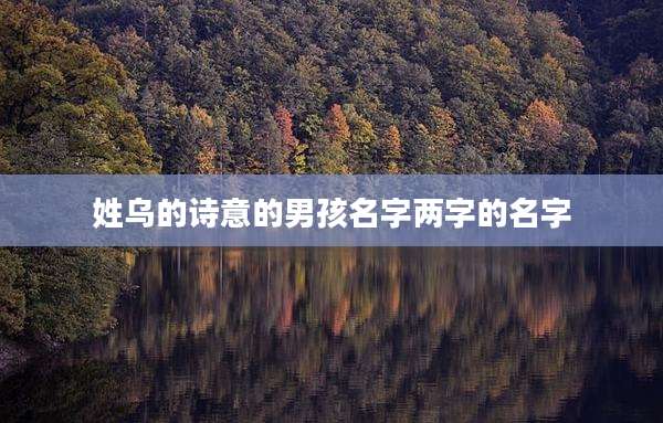 姓乌的诗意的男孩名字两字的名字