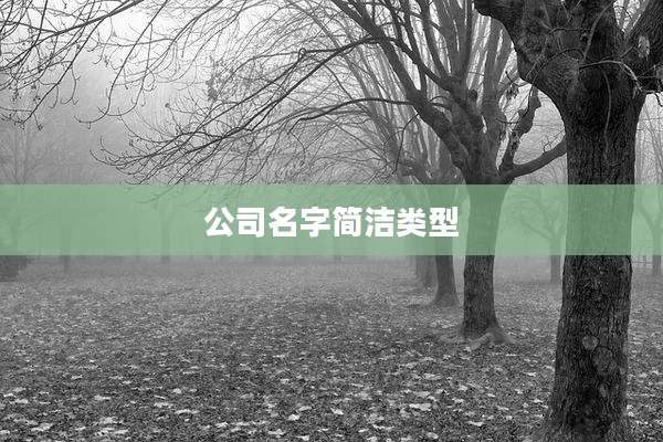 公司名字简洁类型