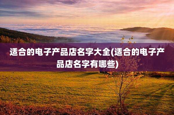 适合的电子产品店名字大全(适合的电子产品店名字有哪些)