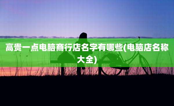 高贵一点电脑商行店名字有哪些(电脑店名称大全)