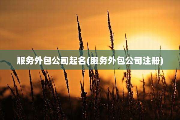 服务外包公司起名(服务外包公司注册)