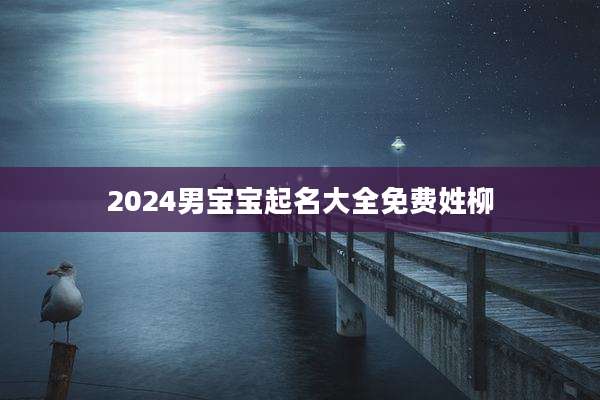 2024男宝宝起名大全免费姓柳
