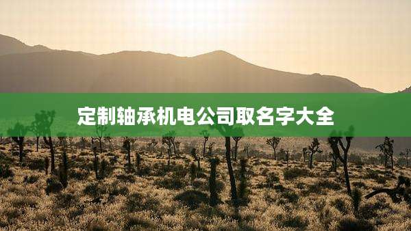 定制轴承机电公司取名字大全