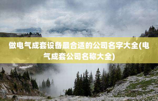 做电气成套设备最合适的公司名字大全(电气成套公司名称大全)