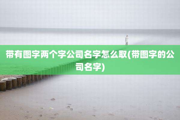 带有图字两个字公司名字怎么取(带图字的公司名字)