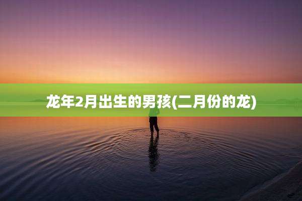 龙年2月出生的男孩(二月份的龙)