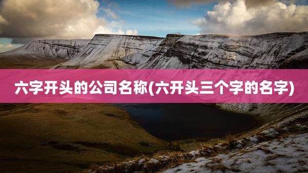 六字开头的公司名称(六开头三个字的名字)