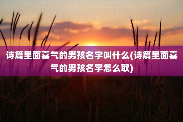 诗篇里面喜气的男孩名字叫什么(诗篇里面喜气的男孩名字怎么取)