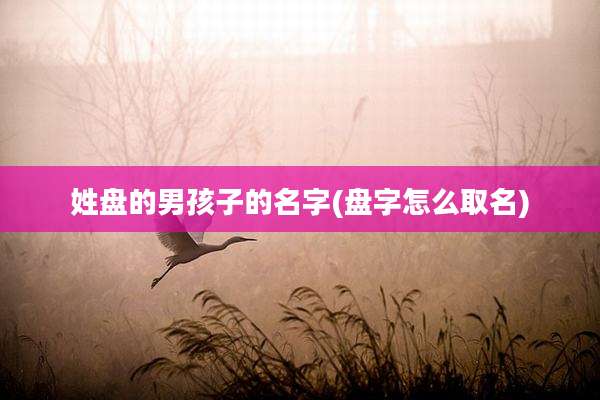 姓盘的男孩子的名字(盘字怎么取名)