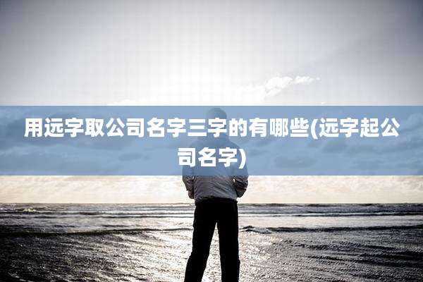 用远字取公司名字三字的有哪些(远字起公司名字)