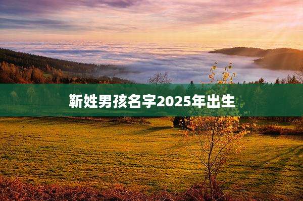 靳姓男孩名字2025年出生