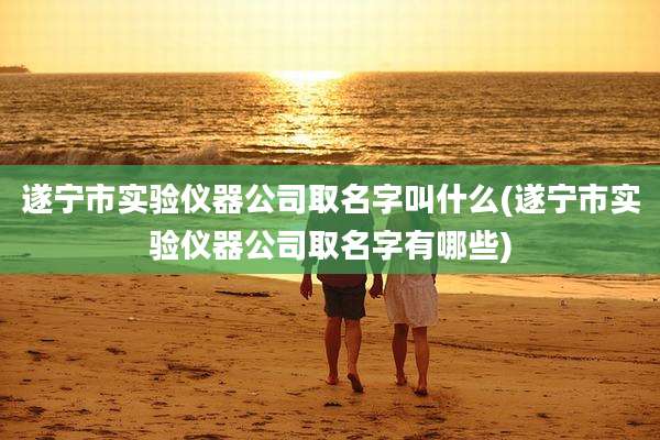 遂宁市实验仪器公司取名字叫什么(遂宁市实验仪器公司取名字有哪些)