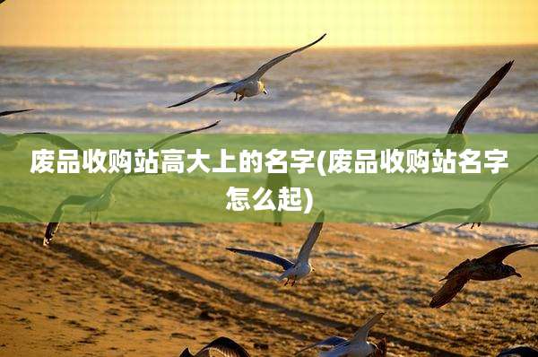废品收购站高大上的名字(废品收购站名字怎么起)