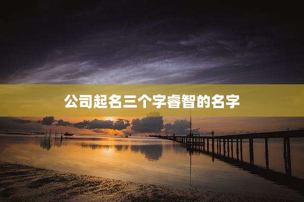公司起名三个字睿智的名字