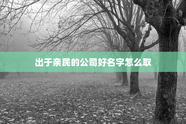 出于亲民的公司好名字怎么取
