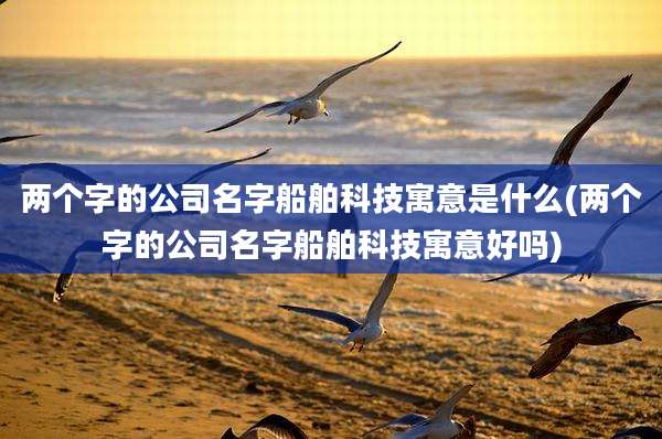 两个字的公司名字船舶科技寓意是什么(两个字的公司名字船舶科技寓意好吗)