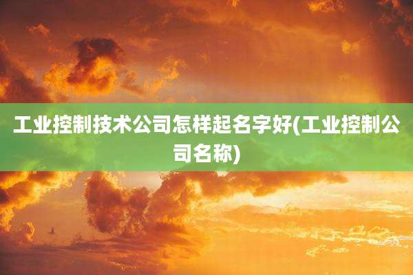 工业控制技术公司怎样起名字好(工业控制公司名称)