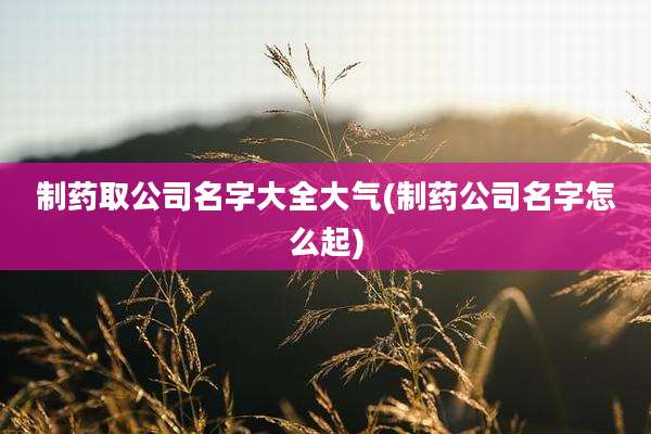 制药取公司名字大全大气(制药公司名字怎么起)