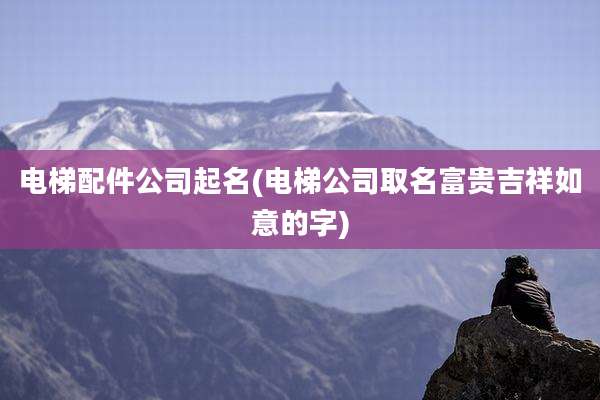 电梯配件公司起名(电梯公司取名富贵吉祥如意的字)