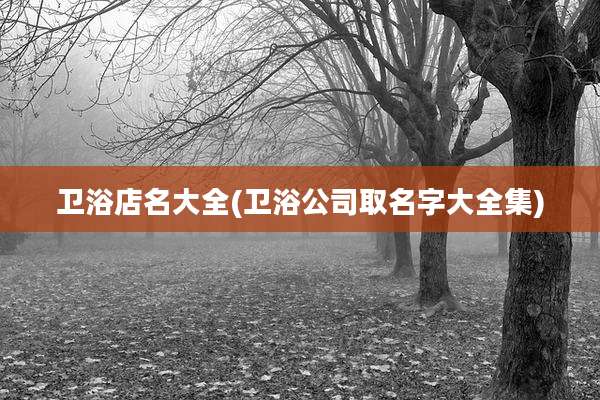 卫浴店名大全(卫浴公司取名字大全集)