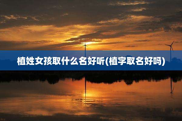 植姓女孩取什么名好听(植字取名好吗)