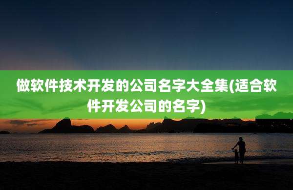 做软件技术开发的公司名字大全集(适合软件开发公司的名字)