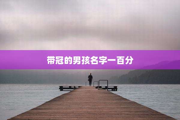 带冠的男孩名字一百分