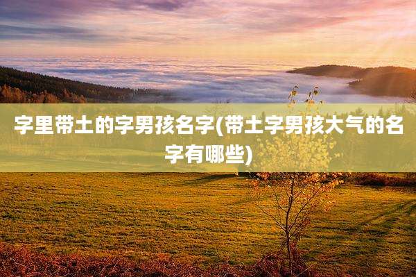 字里带土的字男孩名字(带土字男孩大气的名字有哪些)