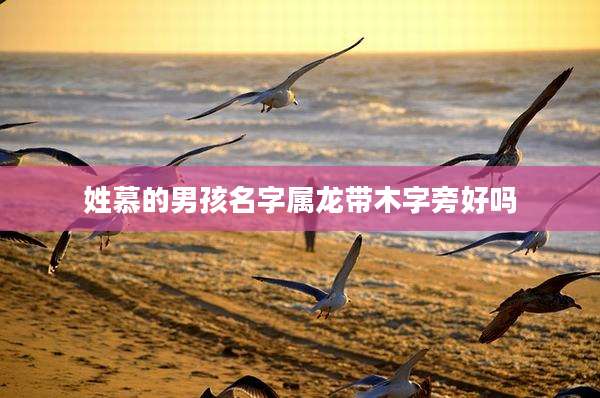 姓慕的男孩名字属龙带木字旁好吗