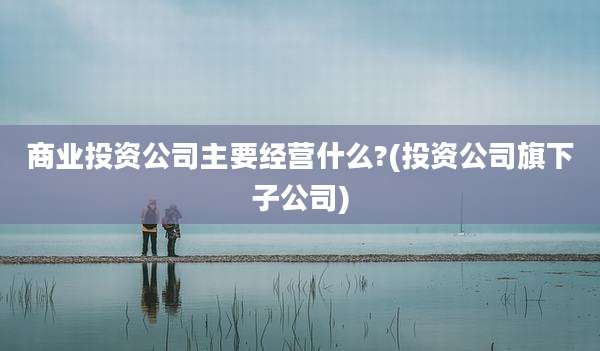 商业投资公司主要经营什么?(投资公司旗下子公司)