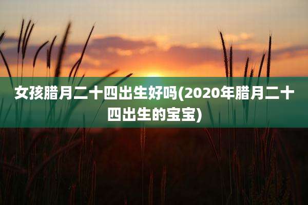 女孩腊月二十四出生好吗(2020年腊月二十四出生的宝宝)