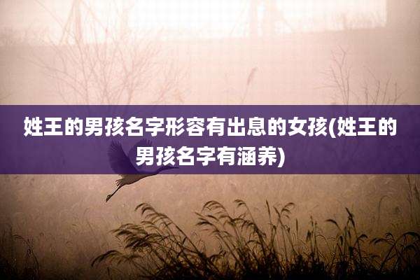 姓王的男孩名字形容有出息的女孩(姓王的男孩名字有涵养)