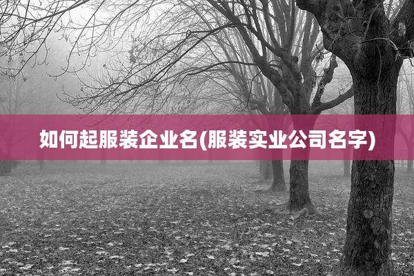 如何起服装企业名(服装实业公司名字)