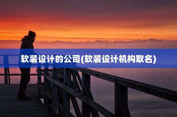 软装设计的公司(软装设计机构取名)