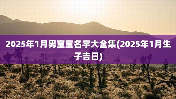 2025年1月男宝宝名字大全集(2025年1月生子吉日)